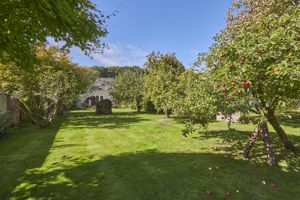 Garden- click for photo gallery